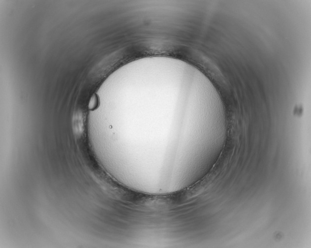 X0000093560075200711051046