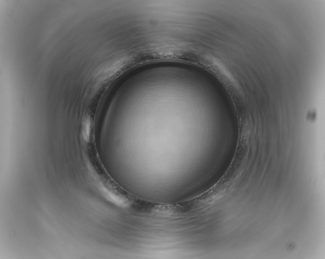 X0000093560076200711051046