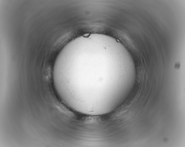 X0000093560077200711051046