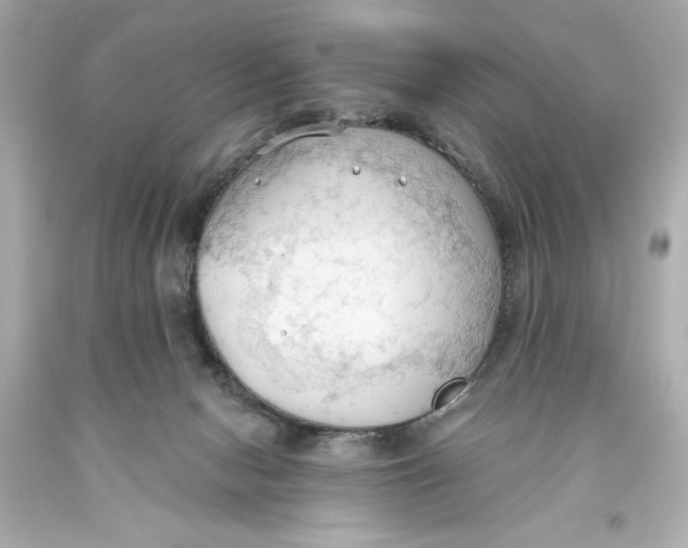 X0000093560078200711051046