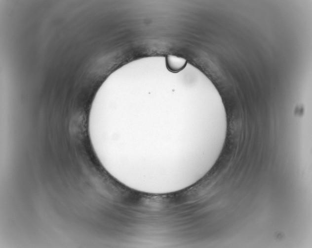 X0000093560079200711051046