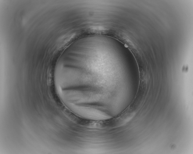 X0000093560080200711051046