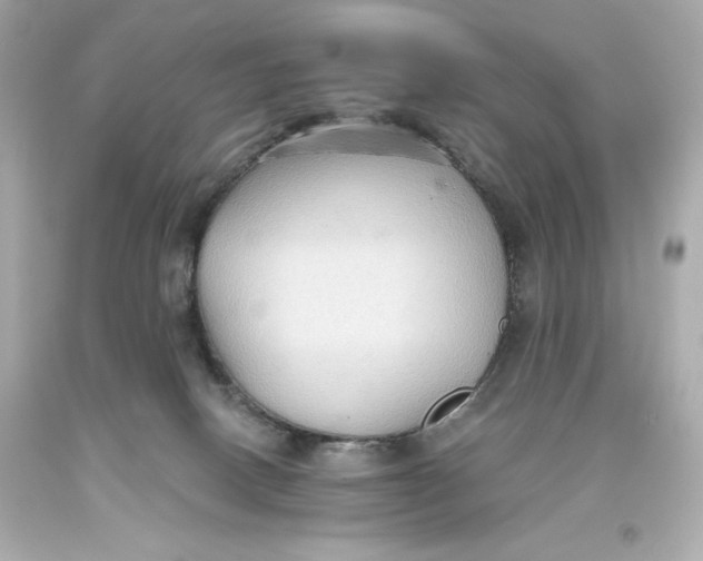 X0000093560082200711051046