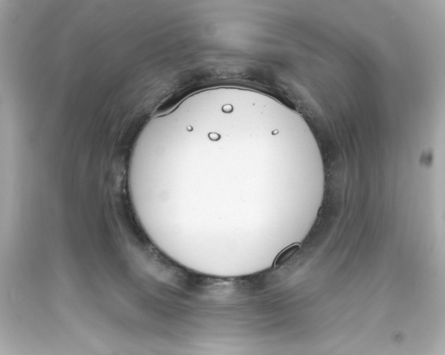 X0000093560083200711051046