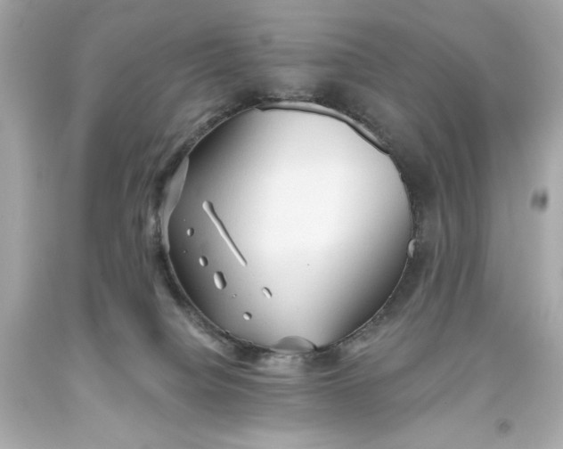 X0000093560084200711051046