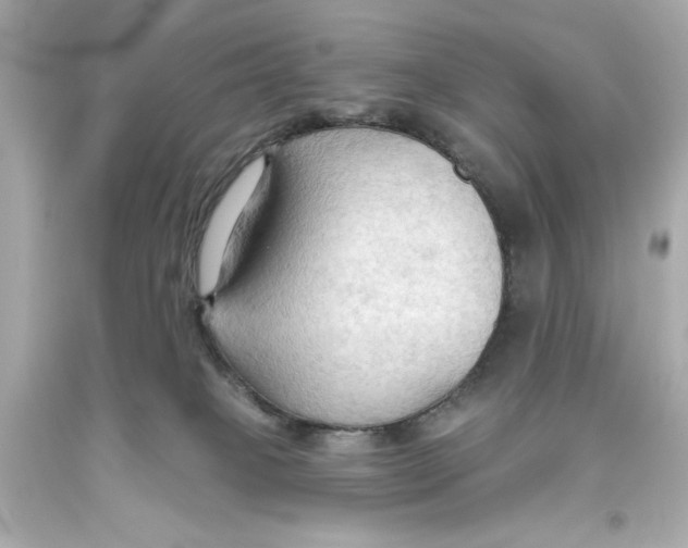 X0000093560085200711051046