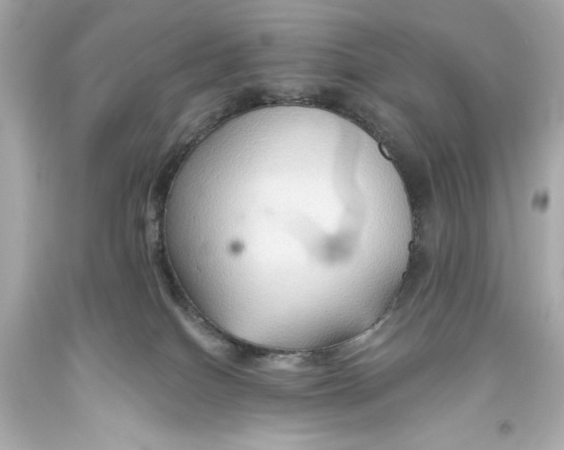 X0000093560086200711051046