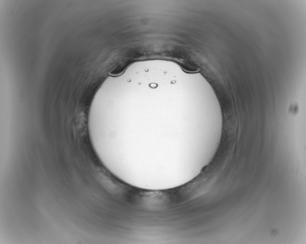 X0000093560087200711051046