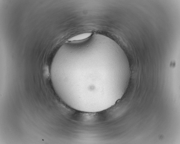 X0000093560089200711051046