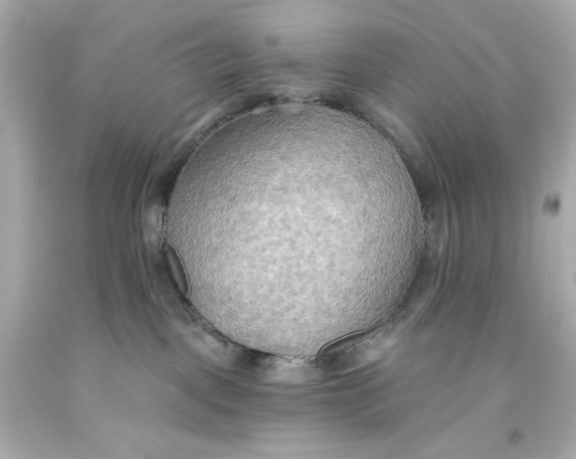 X0000093560093200711051046