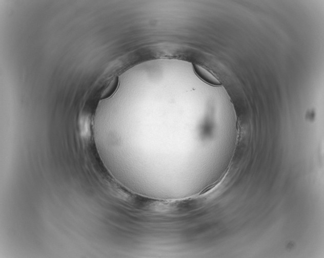 X0000093560094200711051046