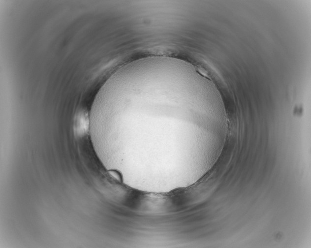 X0000093560095200711051046