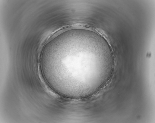 X0000093560097200711051045