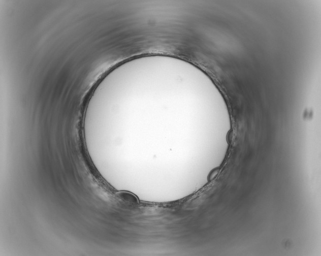 X0000093560098200711051045