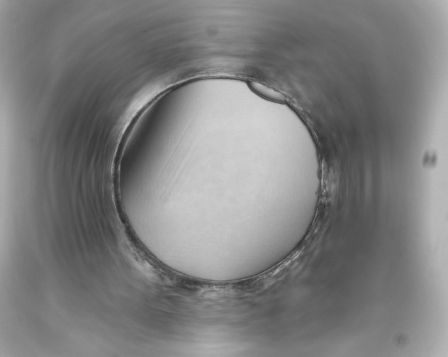 X0000093560099200711051045