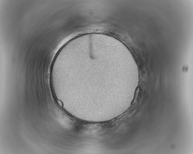 X0000093560100200711051045