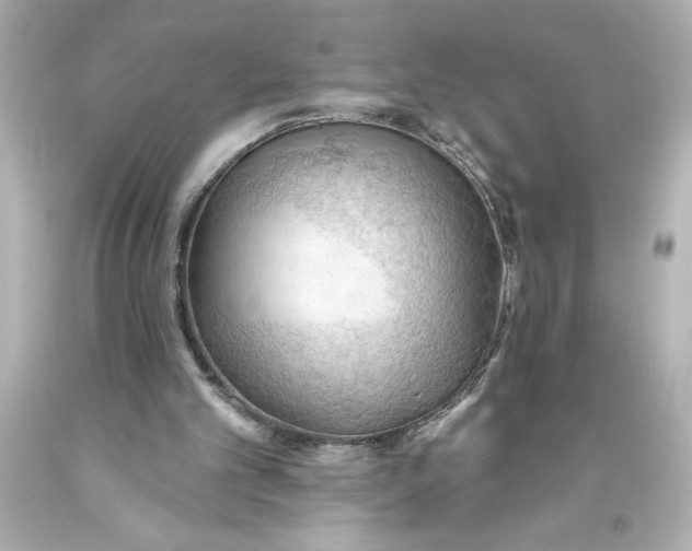 X0000093560101200711051045