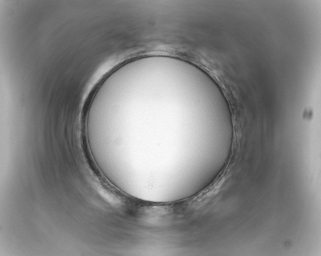 X0000093560102200711051045