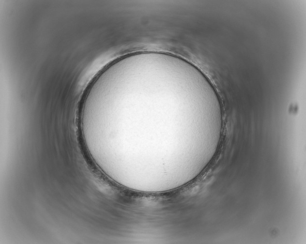 X0000093560103200711051045