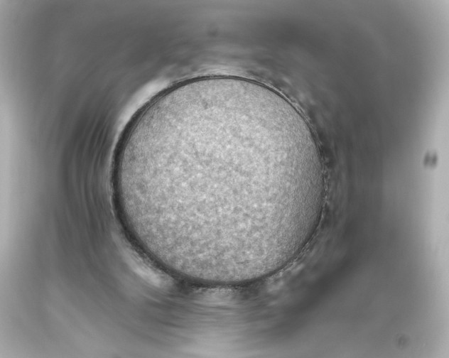 X0000093560104200711051045