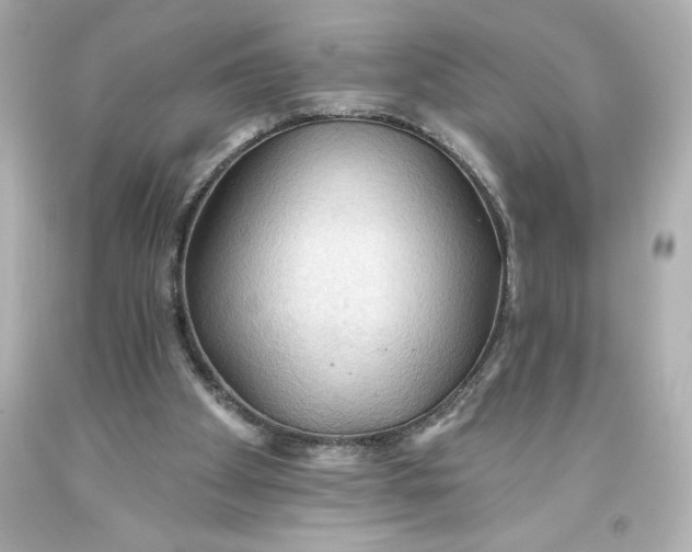 X0000093560105200711051045