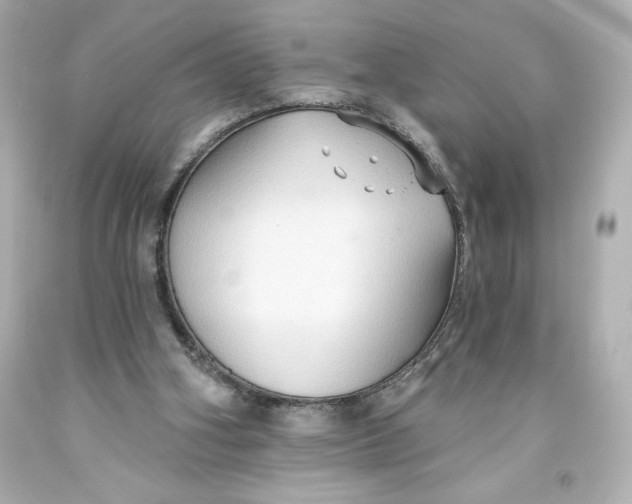 X0000093560106200711051045