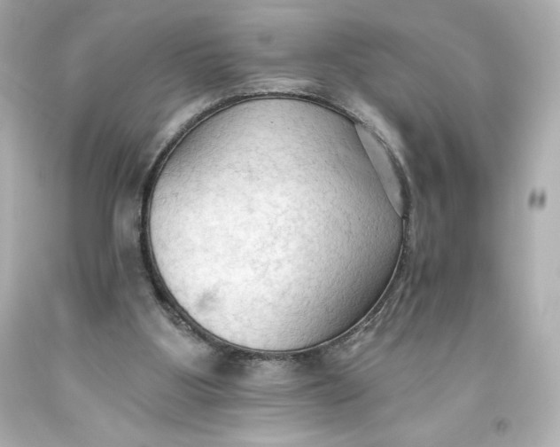 X0000093560107200711051045