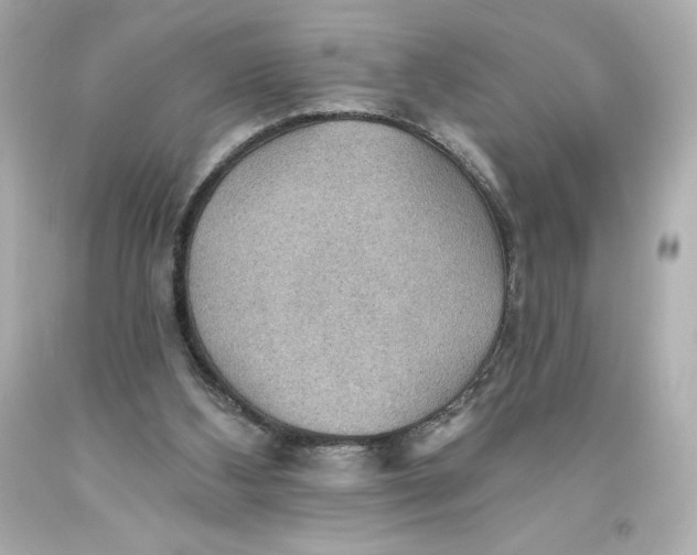 X0000093560108200711051045