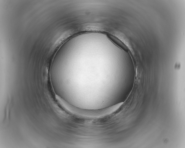 X0000093560109200711051045