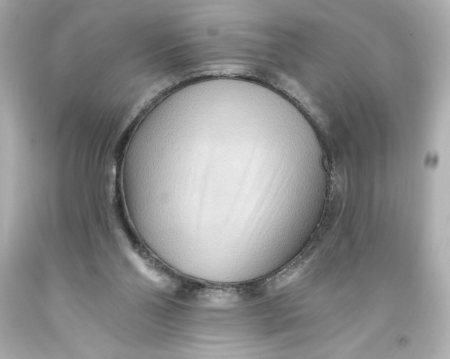 X0000093560110200711051045