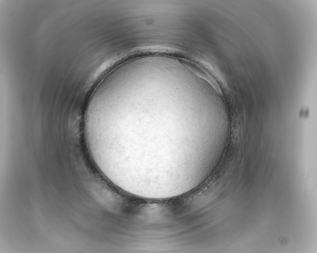 X0000093560111200711051045