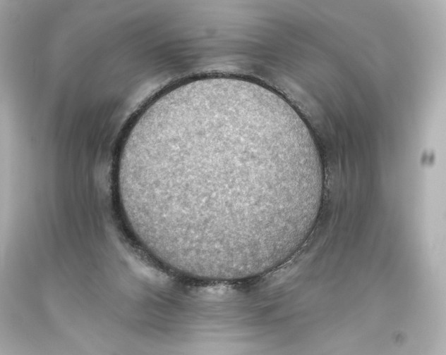 X0000093560112200711051045