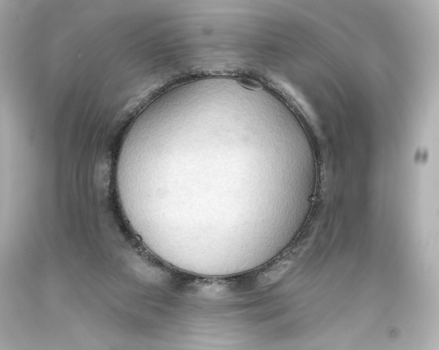 X0000093560113200711051045