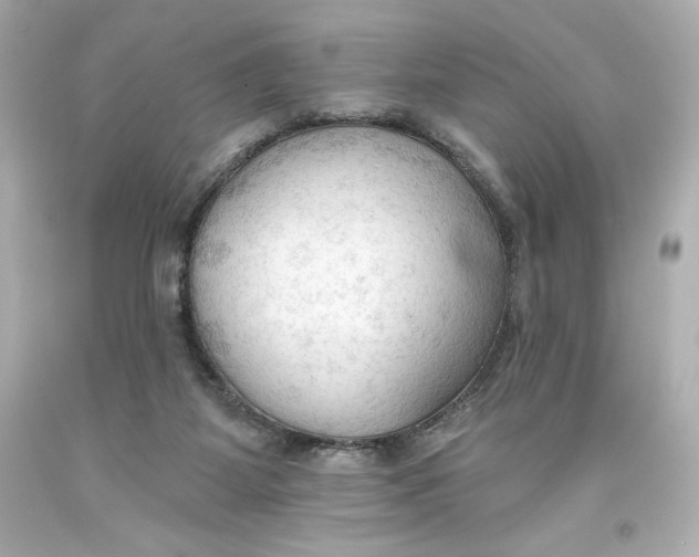X0000093560115200711051045
