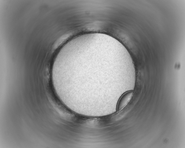 X0000093560116200711051045