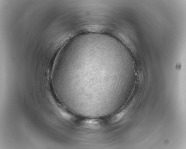 X0000093560117200711051045