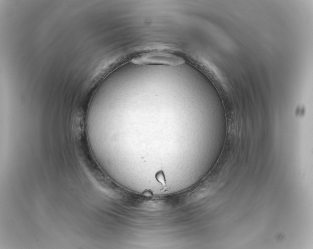 X0000093560119200711051045