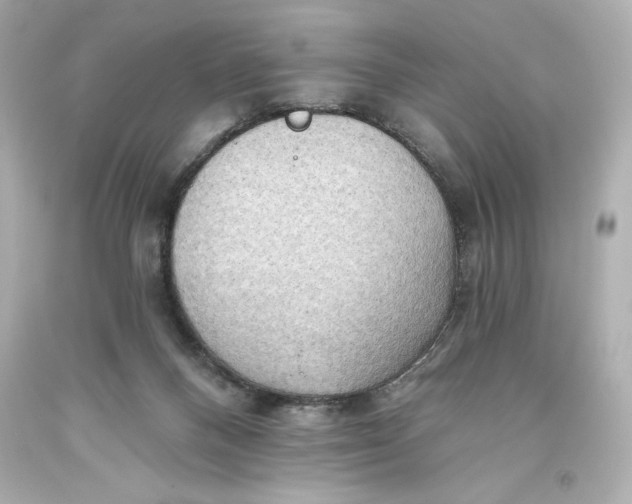 X0000093560120200711051045