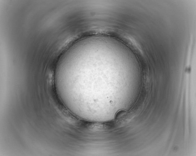 X0000093560123200711051045