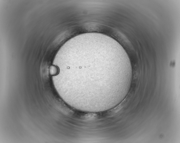 X0000093560124200711051045