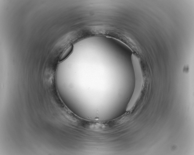 X0000093560125200711051045