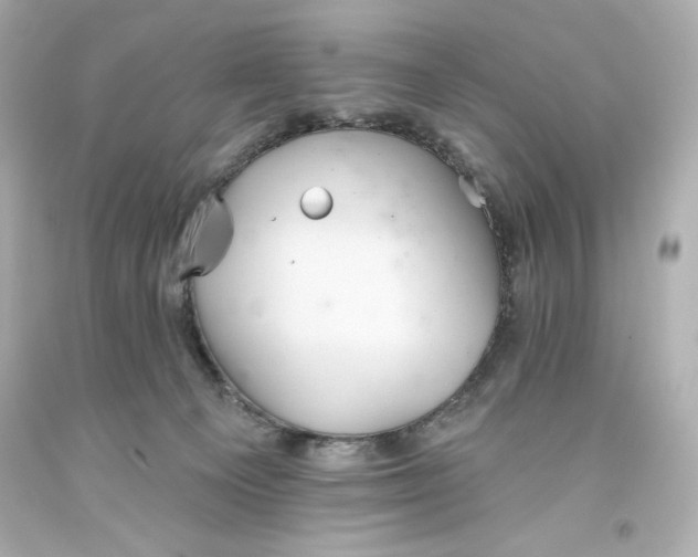 X0000093560129200711051045