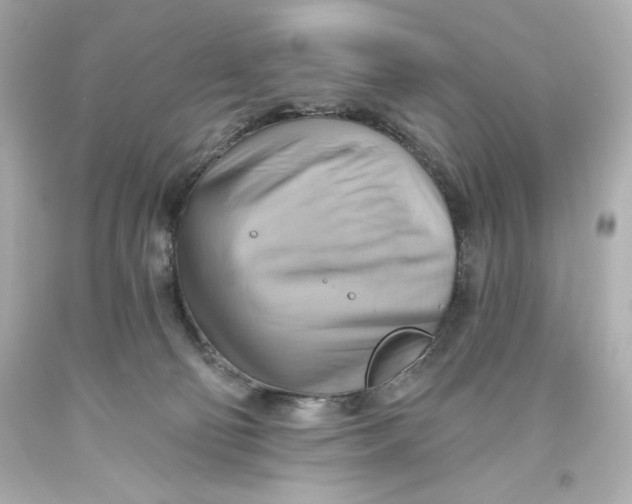 X0000093560130200711051045