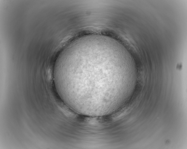 X0000093560131200711051045