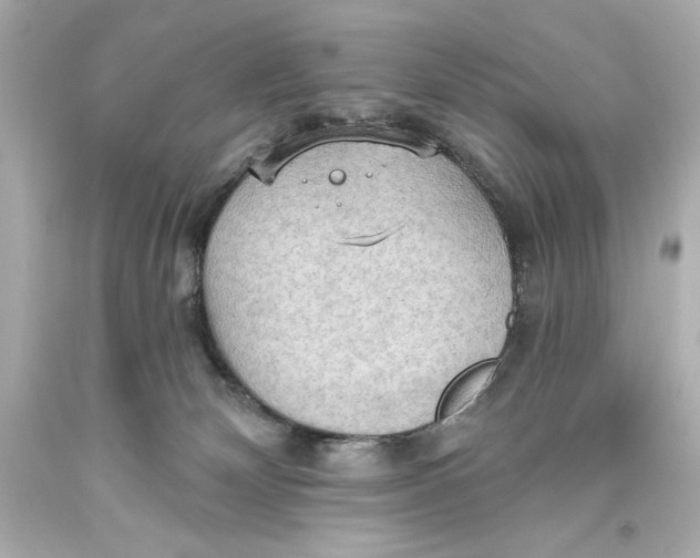 X0000093560132200711051045