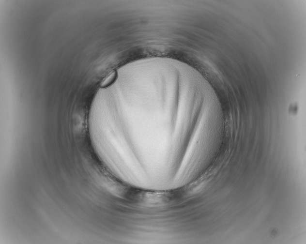 X0000093560134200711051045