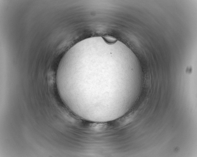 X0000093560135200711051045