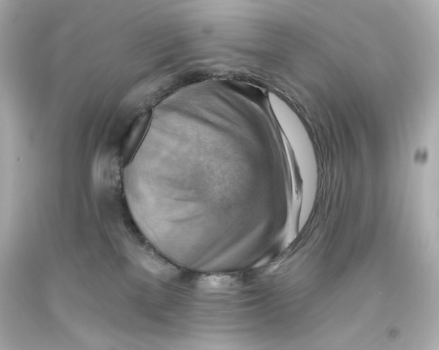 X0000093560137200711051045