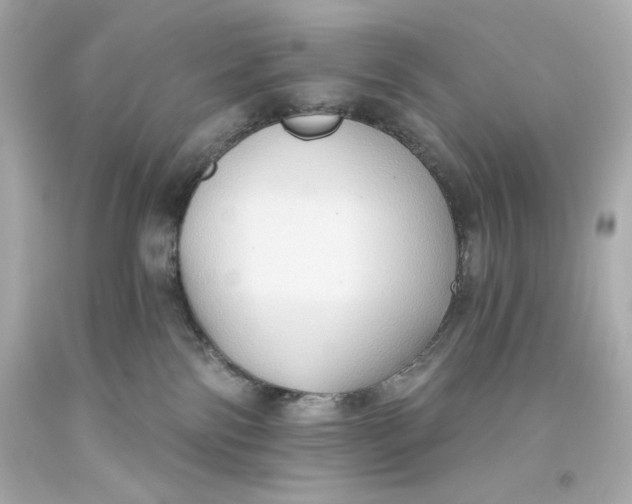 X0000093560138200711051045