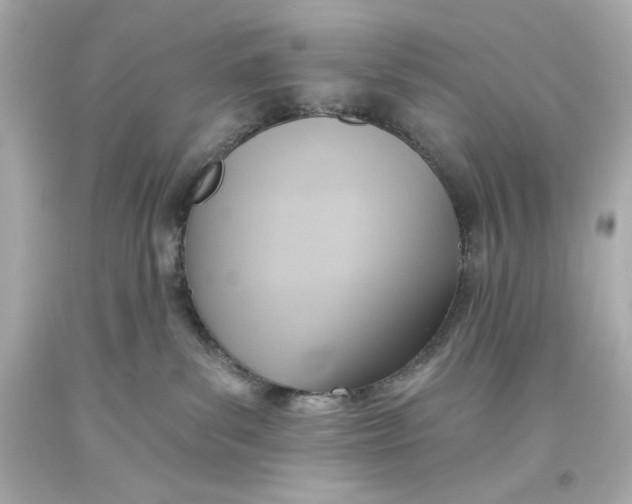 X0000093560139200711051045